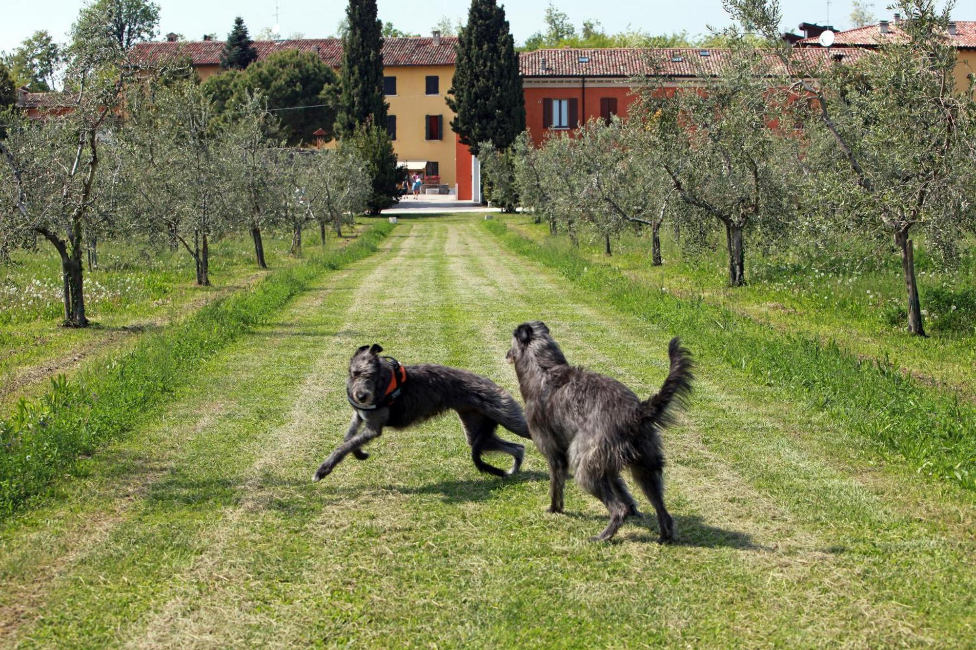 Agriturismo La Filanda Manerba del Garda Bagian luar foto